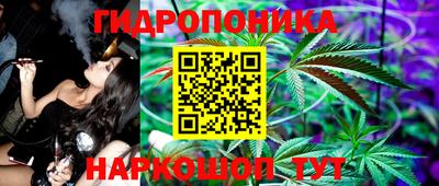 гидра Обь