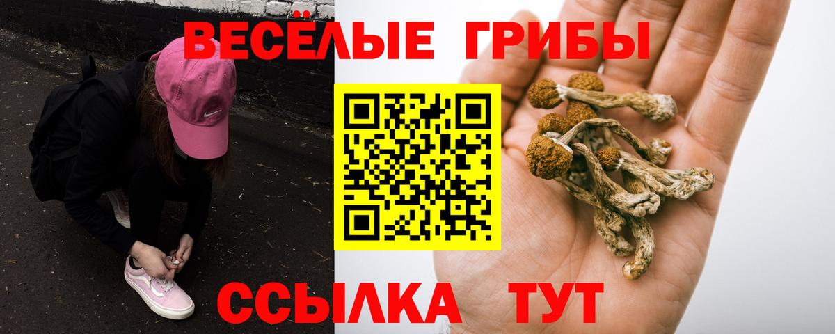 Галлюциногенные грибы прущие грибы Славгород